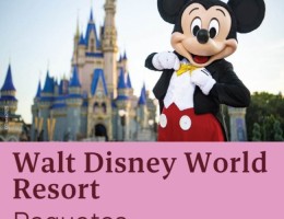 Disney, Universal y Miami